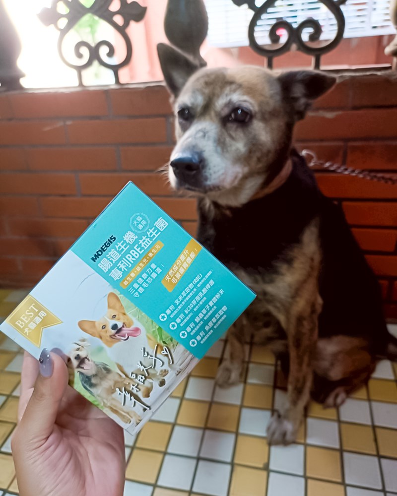 女人知己試用大隊,口碑行銷,部落客行銷,Moegis萌吉 腸道生機專利RBE益生菌,寵物益生菌,專利RBE益生元,專利蔬果酵素,小分子胜肽,藍藻粉,維持免疫力,幫助維持消化道機能,維持正常食慾,改變細菌叢生態,腸胃保健,犬貓適用